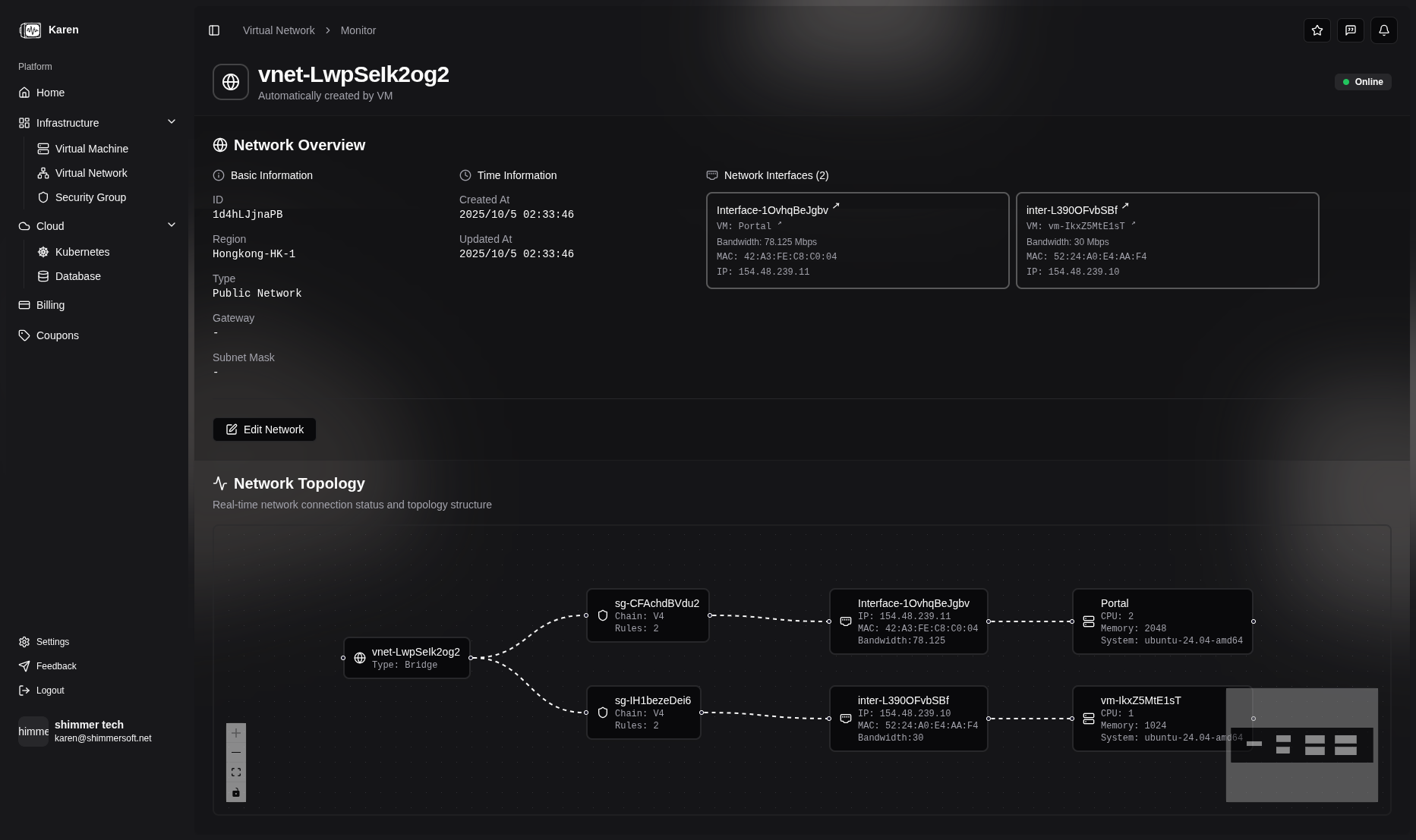 Virtual Network Interface